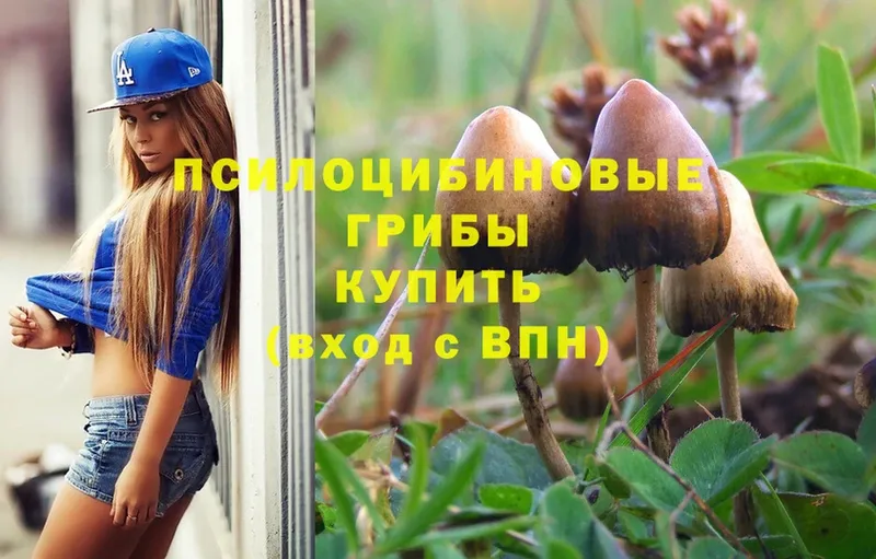 Псилоцибиновые грибы Psilocybine cubensis  mega сайт  Белогорск 